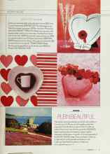 Better Homes & Gardens February 2003 Magazine Article: PLEIN BEAUTIFUL