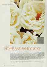 Better Homes & Gardens February 2003 Magazine Article: THE 