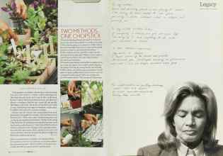 Better Homes & Gardens February 2003 Magazine Article: Page 60