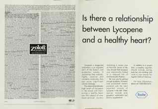 Better Homes & Gardens February 2003 Magazine Article: Page 84