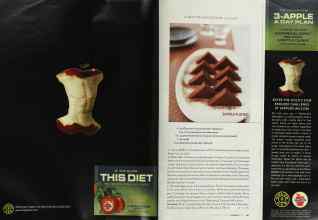 Better Homes & Gardens February 2003 Magazine Article: Page 204