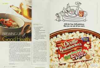 Better Homes & Gardens February 2003 Magazine Article: Page 232