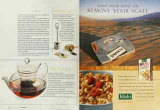 Better Homes & Gardens February 2003 Magazine Article: Page 234