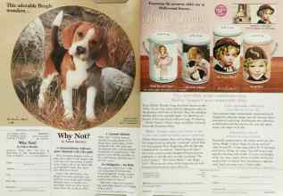 Better Homes & Gardens February 2003 Magazine Article: Page 240