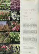 Better Homes & Gardens March 2003 Magazine Article: PERENNIALS FOR THE NEW CENTURY