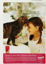 Better Homes & Gardens March 2003 Magazine Article: Page 258