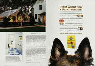 Better Homes & Gardens March 2003 Magazine Article: Page 40