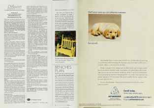 Better Homes & Gardens March 2003 Magazine Article: Page 60