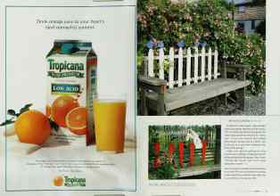Better Homes & Gardens March 2003 Magazine Article: Page 62