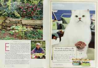 Better Homes & Gardens March 2003 Magazine Article: Page 84