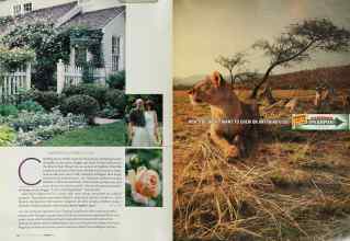 Better Homes & Gardens March 2003 Magazine Article: Page 124