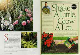 Better Homes & Gardens April 2003 Magazine Article: Page 56