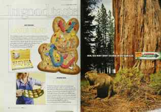 Better Homes & Gardens April 2003 Magazine Article: Page 120