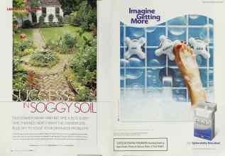 Better Homes & Gardens April 2003 Magazine Article: Page 130