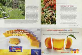 Better Homes & Gardens April 2003 Magazine Article: Page 134