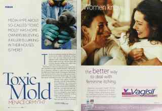 Better Homes & Gardens April 2003 Magazine Article: Page 138