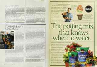 Better Homes & Gardens April 2003 Magazine Article: Page 142