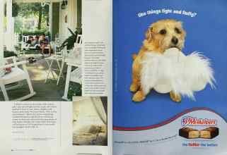Better Homes & Gardens April 2003 Magazine Article: Page 206