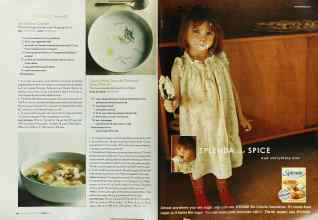 Better Homes & Gardens April 2003 Magazine Article: Page 254