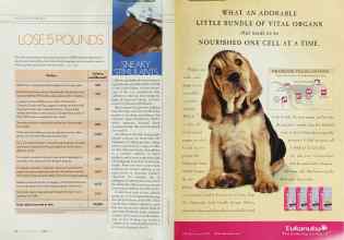 Better Homes & Gardens April 2003 Magazine Article: Page 272