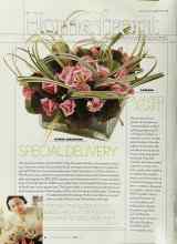 Better Homes & Gardens May 2003 Magazine Article: PLANTED AGAIN