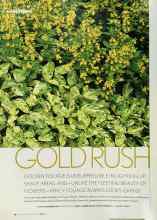 Better Homes & Gardens May 2003 Magazine Article: GOLD RUSH