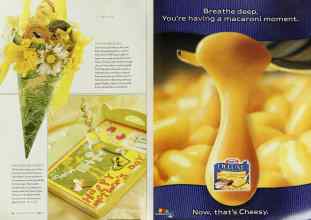 Better Homes & Gardens May 2003 Magazine Article: Page 26