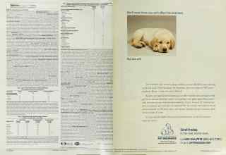 Better Homes & Gardens May 2003 Magazine Article: Page 58