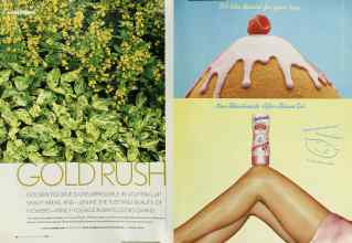 Better Homes & Gardens May 2003 Magazine Article: Page 120