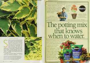 Better Homes & Gardens May 2003 Magazine Article: Page 122