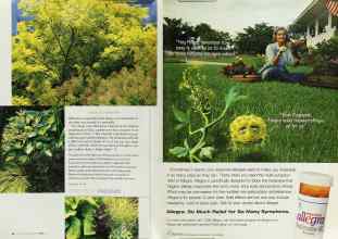 Better Homes & Gardens May 2003 Magazine Article: Page 126