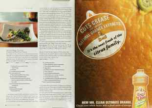 Better Homes & Gardens May 2003 Magazine Article: Page 264