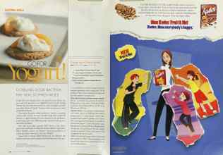 Better Homes & Gardens May 2003 Magazine Article: Page 300