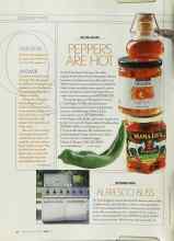 Better Homes & Gardens June 2003 Magazine Article: ALFRESCO BLISS