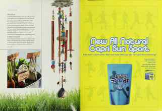 Better Homes & Gardens June 2003 Magazine Article: Page 22
