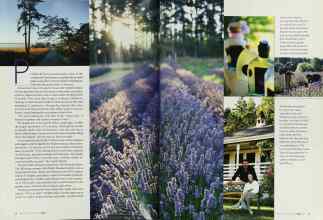 Better Homes & Gardens June 2003 Magazine Article: Page 32