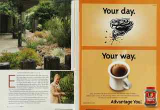 Better Homes & Gardens June 2003 Magazine Article: Page 96
