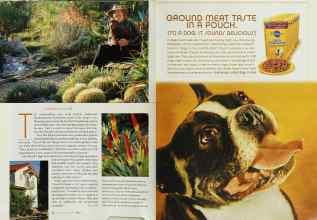 Better Homes & Gardens June 2003 Magazine Article: Page 140