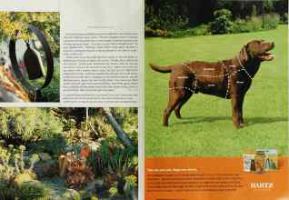 Better Homes & Gardens June 2003 Magazine Article: Page 142