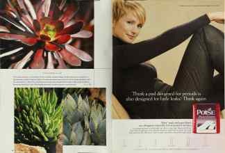 Better Homes & Gardens June 2003 Magazine Article: Page 144