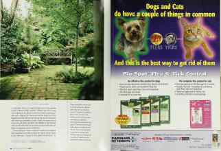 Better Homes & Gardens June 2003 Magazine Article: Page 186
