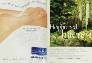 Better Homes & Gardens June 2003 Magazine Article: Page 228