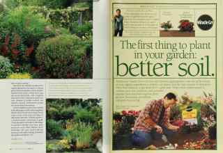 Better Homes & Gardens June 2003 Magazine Article: Page 234