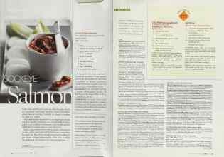 Better Homes & Gardens June 2003 Magazine Article: Page 272
