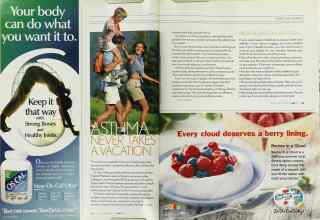 Better Homes & Gardens June 2003 Magazine Article: Page 294