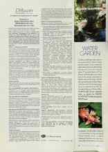 Better Homes & Gardens July 2003 Magazine Article: WATER GARDEN