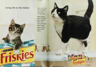 Better Homes & Gardens July 2003 Magazine Article: Page 46