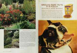 Better Homes & Gardens July 2003 Magazine Article: Page 134