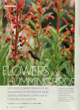 Better Homes & Gardens August 2003 Magazine Article: FLOWERS FOR HUMMINGBIRDS