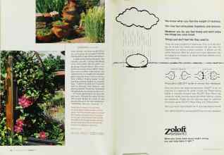 Better Homes & Gardens August 2003 Magazine Article: Page 42